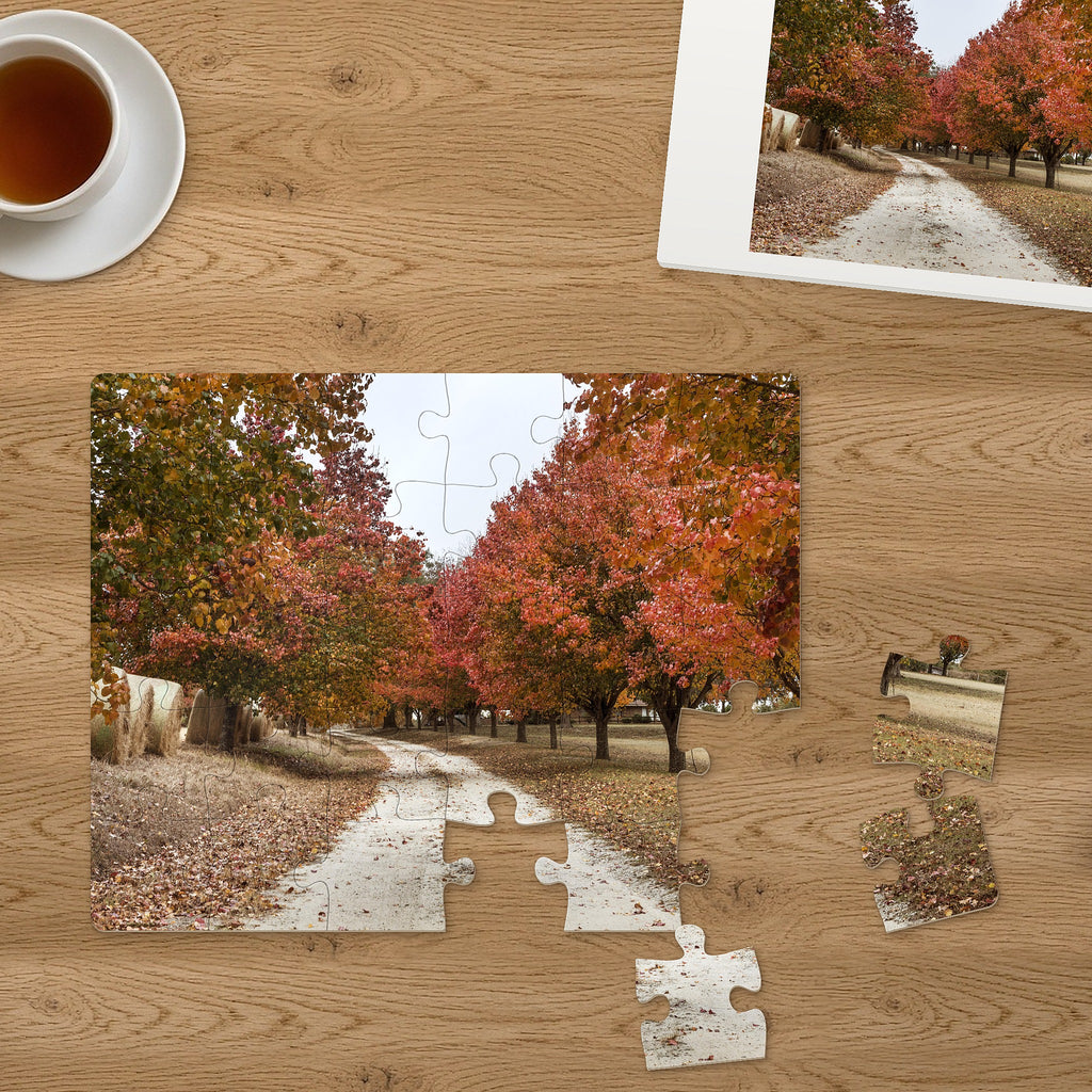 Memory Lane puzzle: Autumn Country Lane. Three of the 30 extra-large pieces, each about 2¼″ across, lifted out beside the puzzle (product illustration)
