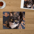 Memory Lane puzzle: Calico Kitten. The finished 30-piece 14″ × 11″ puzzle on a table beside its white gift box (product illustration)