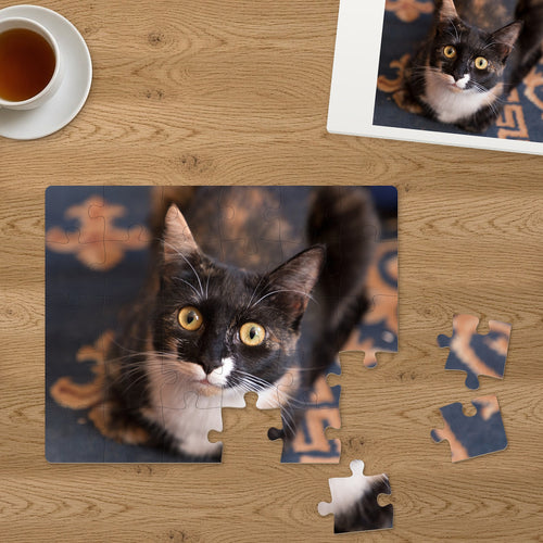 Memory Lane puzzle: Calico Kitten. Three of the 30 extra-large pieces, each about 2¼″ across, lifted out beside the puzzle (product illustration)